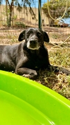 CLEO Imagen 4